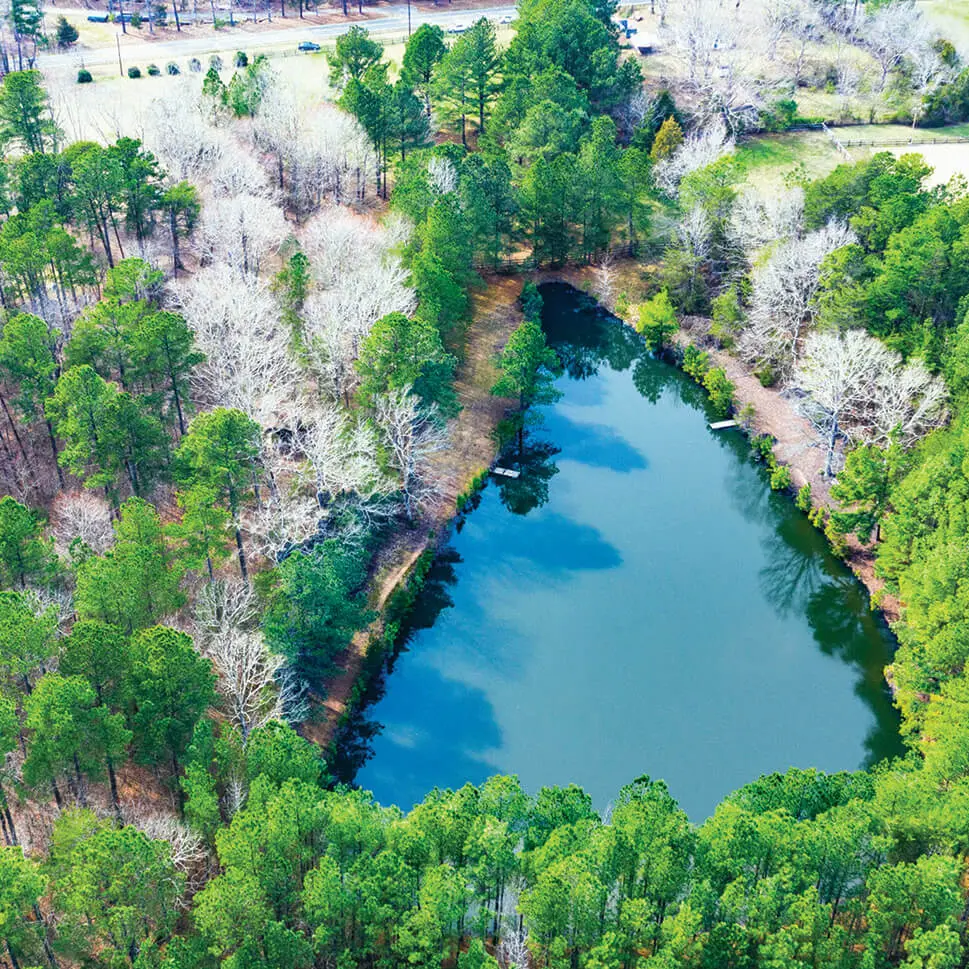 Aerial view of the property and community pond at Array