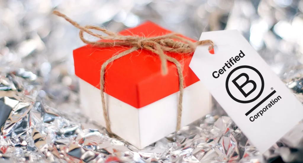 B Corp Gift Guide: 78+ Sustainable Gifts for People & the Planet