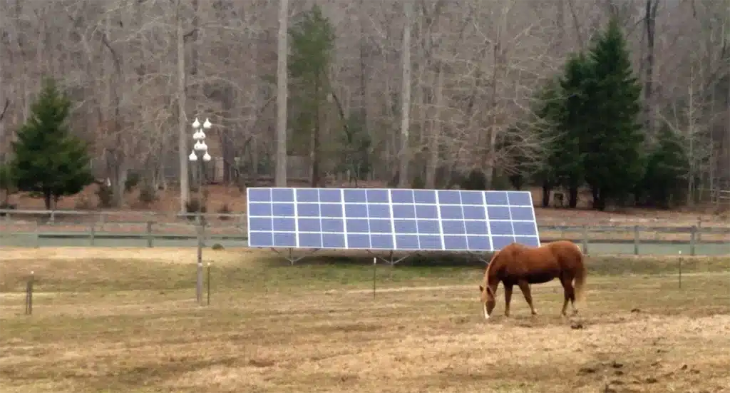 Horse eating grass in a field next to a ground mounted solar system during the fall