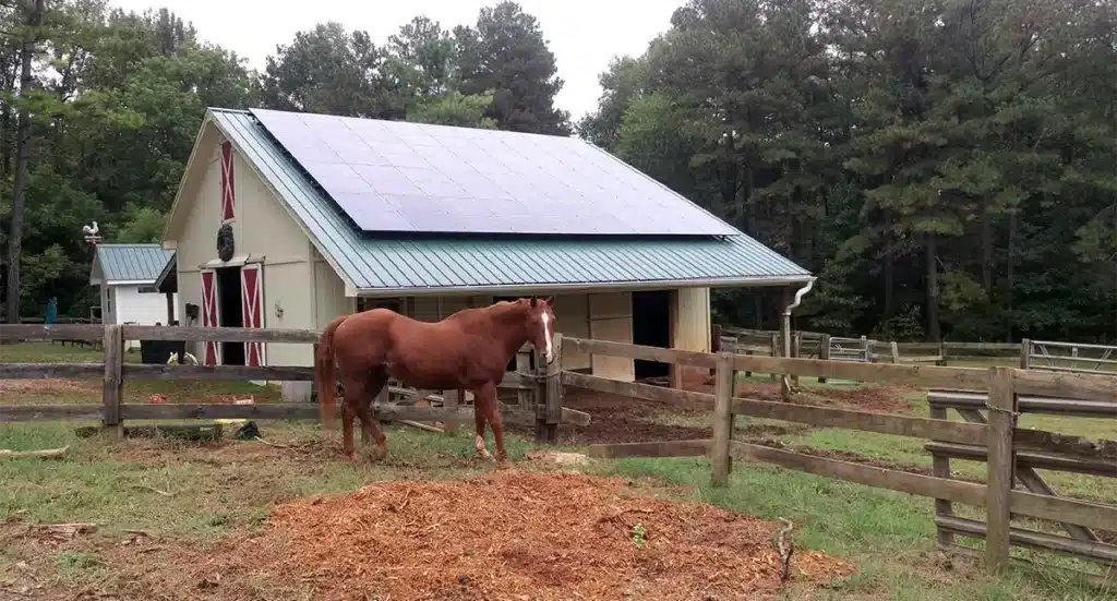 Horse standing in a fenced in area in front of a barn with a solar system on the roof during the summer