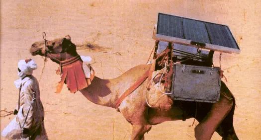 Solar power keeping a refrigerator running on a camel's back to transport vaccines