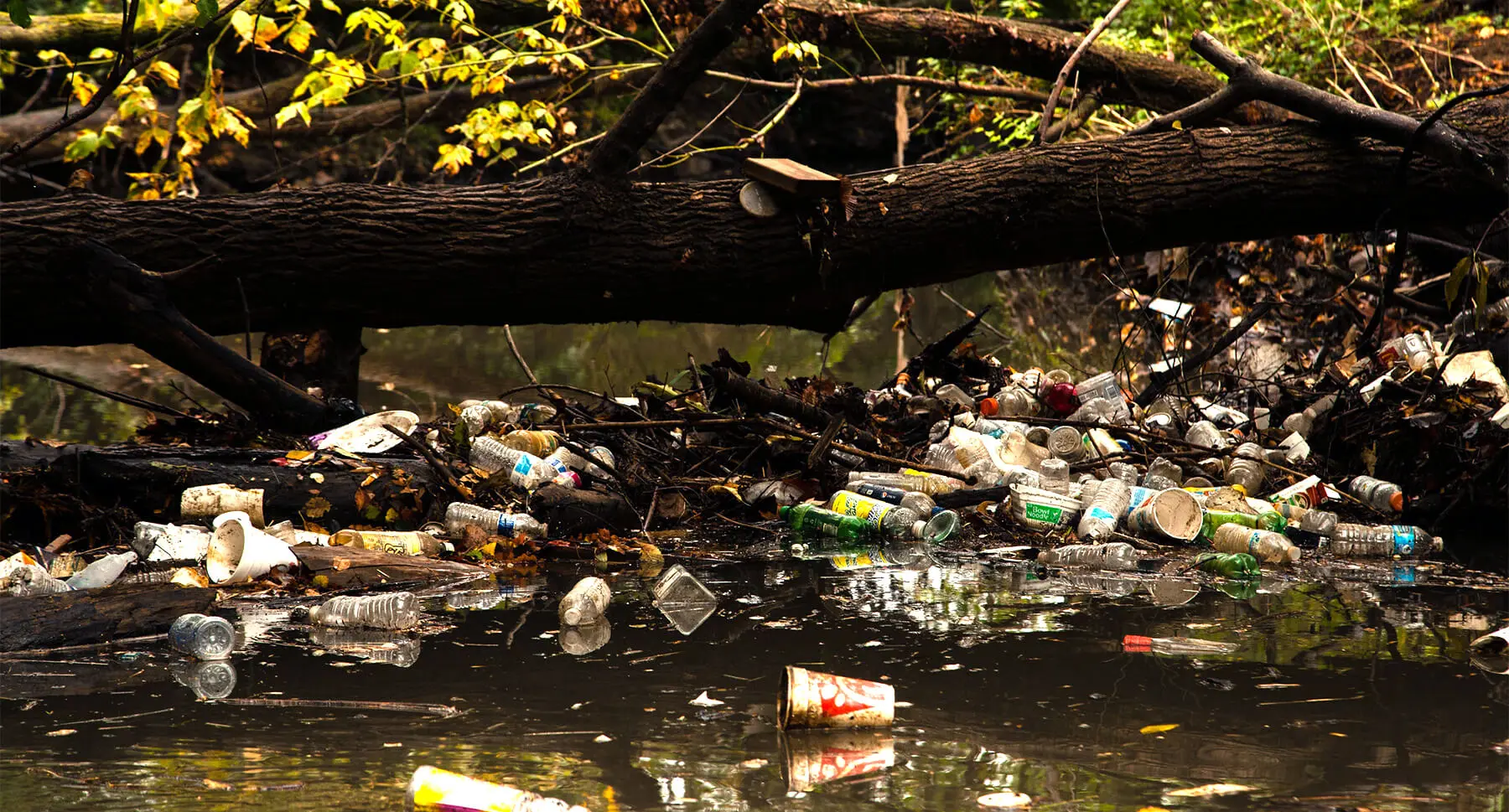 Litter piling up in a river